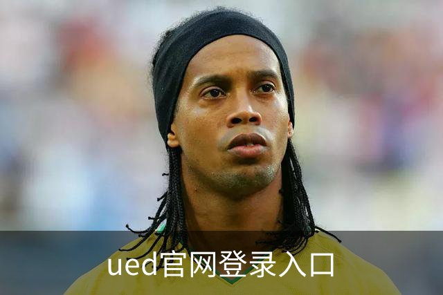 ued官网登录入口公司简介